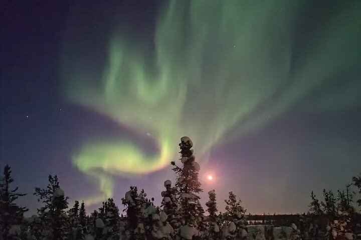 Skydome Aurora Viewing near Yellowknife with Hotel Pickup (5/12)