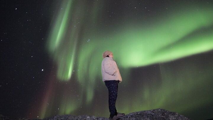 Yellowknife Aurora Hunting by Bus with Wilderness First Aid Guides (1/12)