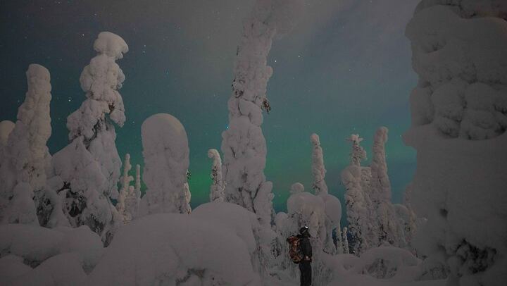 Night Snowshoeing and Aurora Adventure from Rovaniemi