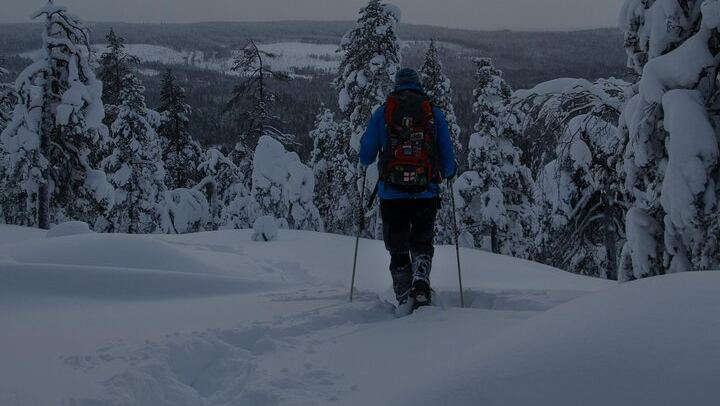 Night Snowshoeing and Aurora Adventure from Rovaniemi (2/6)