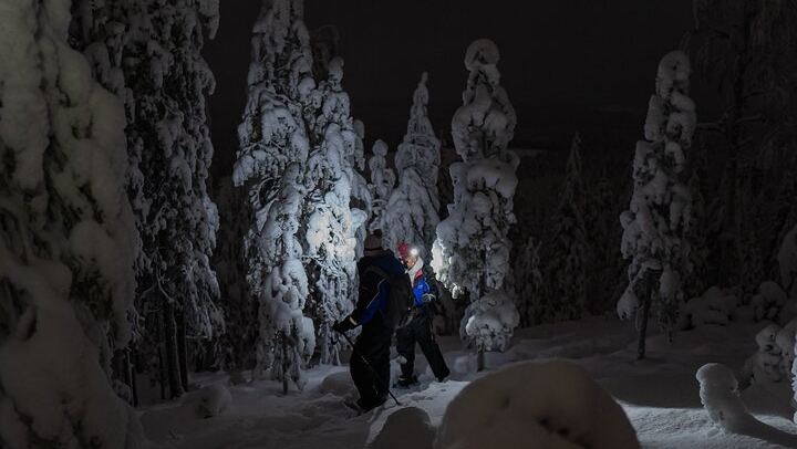 Night Snowshoeing and Aurora Adventure from Rovaniemi (3/6)