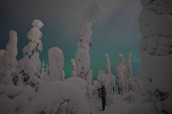 Night Snowshoeing and Aurora Adventure from Rovaniemi
