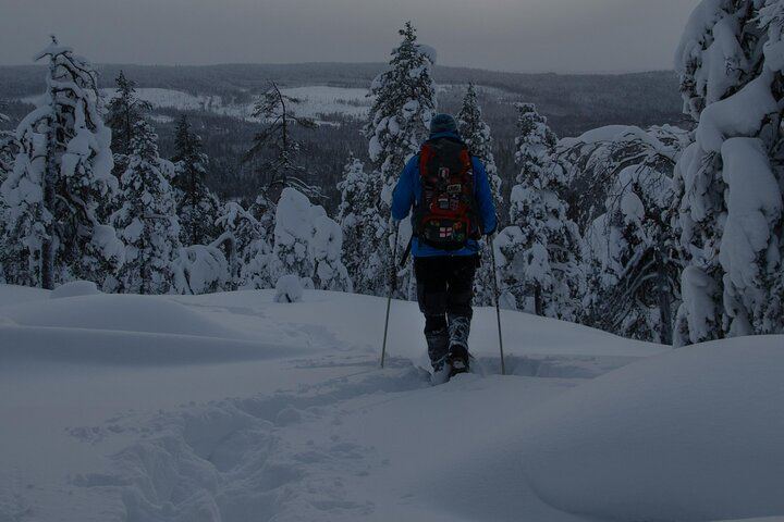 Night Snowshoeing and Aurora Adventure from Rovaniemi (2/6)