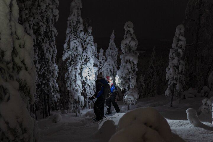 Night Snowshoeing and Aurora Adventure from Rovaniemi (3/6)