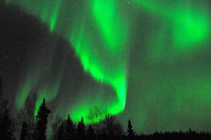 Aurora Chaser Tour from Fairbanks with Owner Operator Guides (3/6)