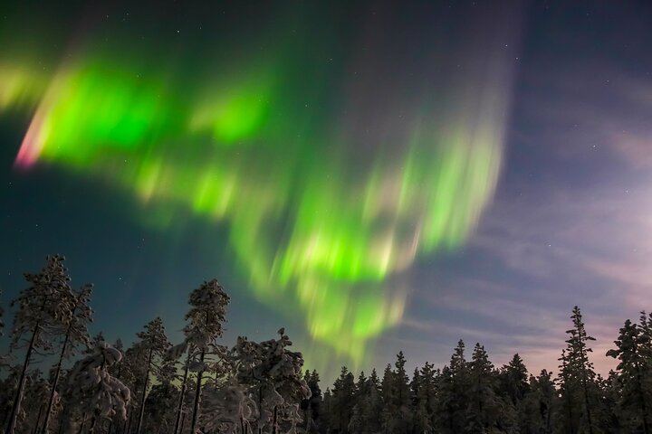 Aurora Floating in Rovaniemi: Watch the Sky from Open Water (5/6)