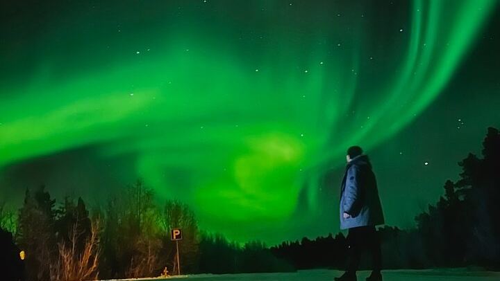 Rovaniemi Aurora Hunt with Lappish BBQ and Glögi at Three Stops