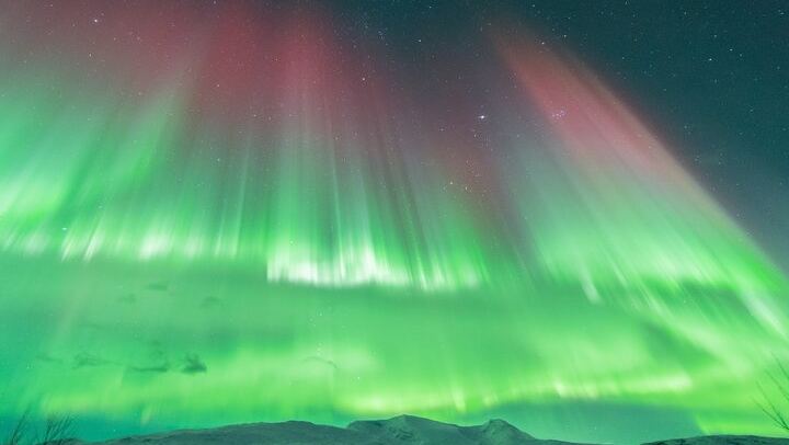 Tromso Aurora Hunt with Campfire and a Professional Photographer