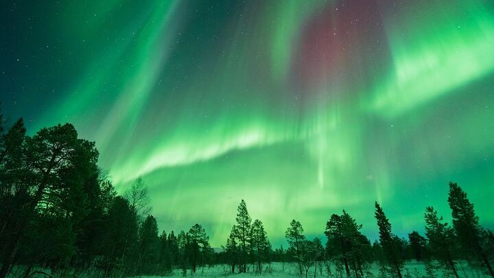 All Inclusive Northern Lights Hunt with The Green Adventure, Photos Included (2/11)