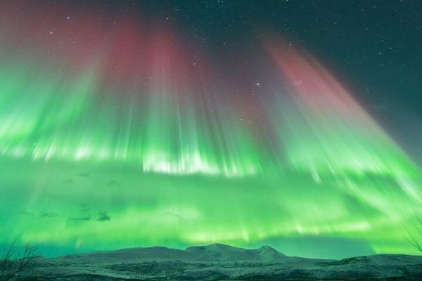 Tromso Aurora Hunt with Campfire and a Professional Photographer