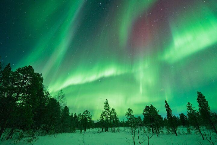 All Inclusive Northern Lights Hunt with The Green Adventure, Photos Included (2/11)