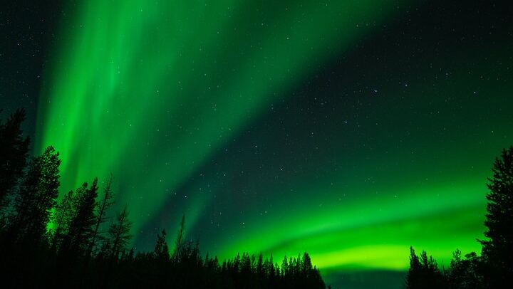 Three Hour Aurora Hunt by Minivan around Ivalo, Inari and Saariselkä (4/5)