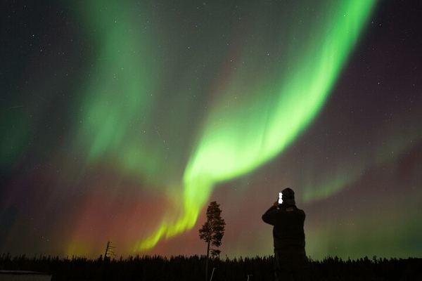 Three Hour Aurora Hunt by Minivan around Ivalo, Inari and Saariselkä