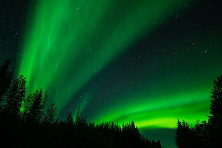 Three Hour Aurora Hunt by Minivan around Ivalo, Inari and Saariselkä (4/5)