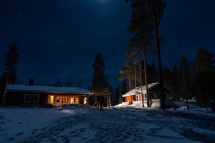 Northern Lights Hunt from a Lappish Cottage in the Forest (7/12)