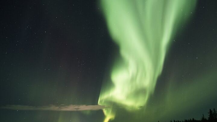 Aurora Photo Tour by Bus from Rovaniemi with Hot Drinks and Gingerbread