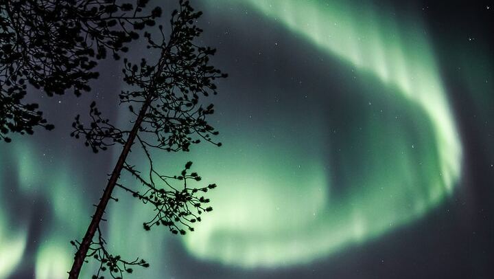 Aurora Photo Tour by Bus from Rovaniemi with Hot Drinks and Gingerbread (1/6)