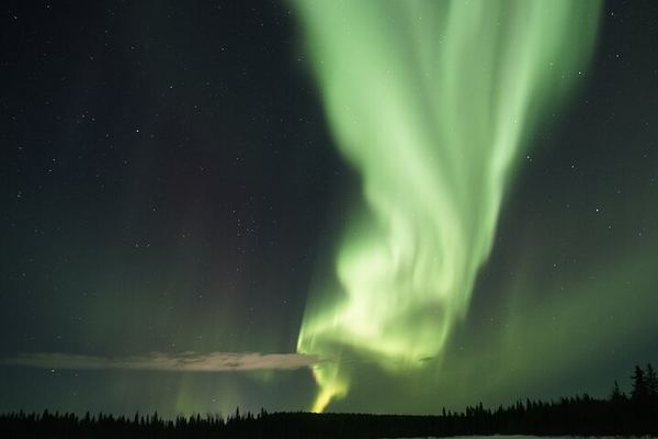 Aurora Photo Tour by Bus from Rovaniemi with Hot Drinks and Gingerbread