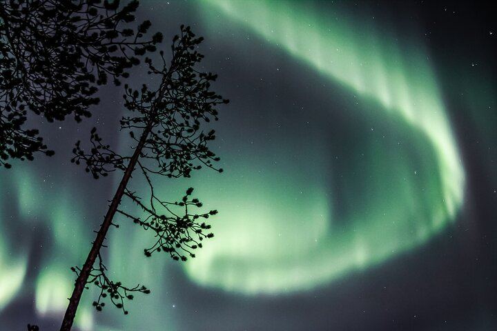 Aurora Photo Tour by Bus from Rovaniemi with Hot Drinks and Gingerbread (1/6)