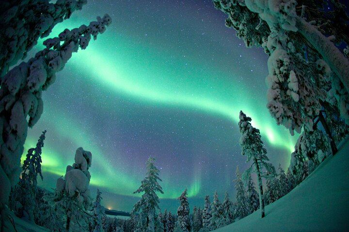 Aurora Photo Tour by Bus from Rovaniemi with Hot Drinks and Gingerbread (6/6)