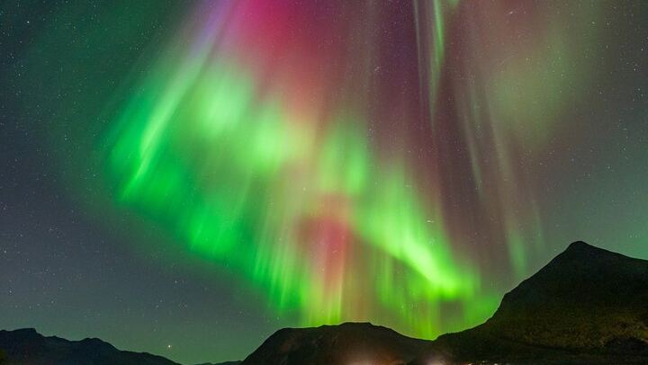 Minibus-Tour zur Beobachtung des Nordlichts in Tromsø, inklusive Skycam, Toilette, Verpflegung und Fotos (1/12)