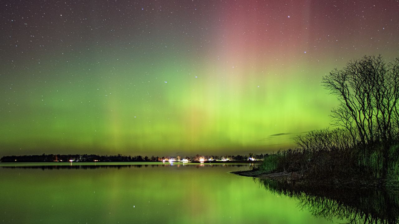 Green and pink aurora reflected in an unfrozen lake with bare autumn trees and no snow on the shore
