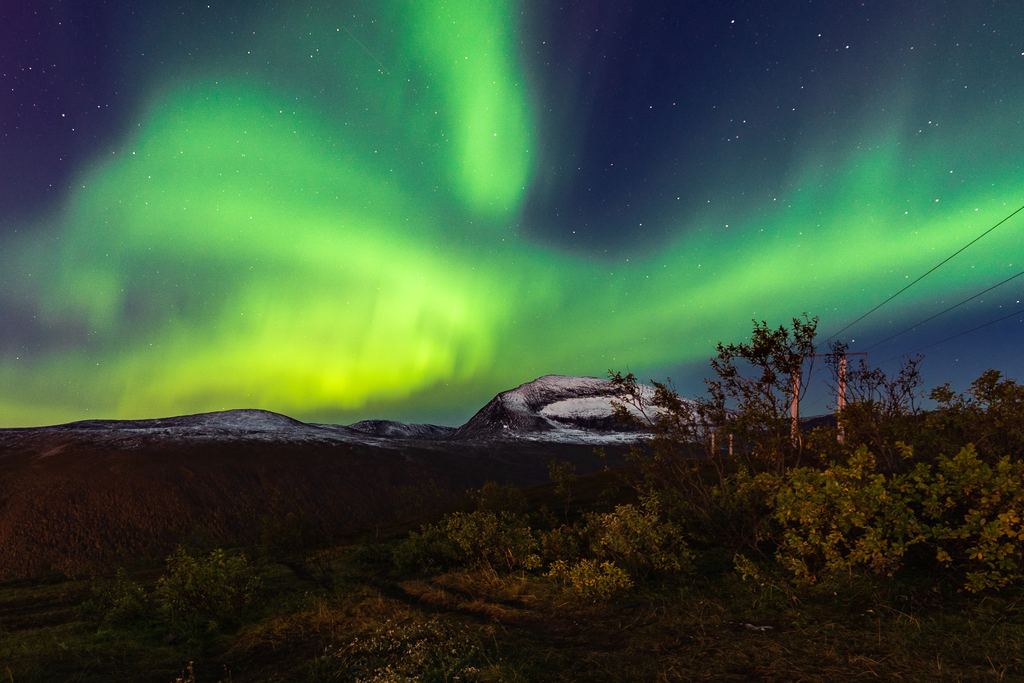 Green aurora arcs across the night sky above snow-covered peaks on the Norwegian coast