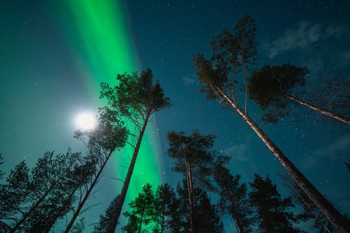 Aurora Photography Expedition from Rovaniemi with Video and Refund Terms (7/9)