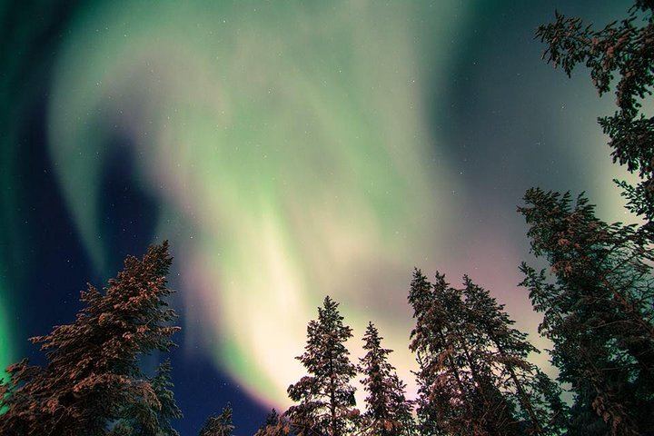 Autumn Aurora Picnic by Open Fire near Rovaniemi (2/6)