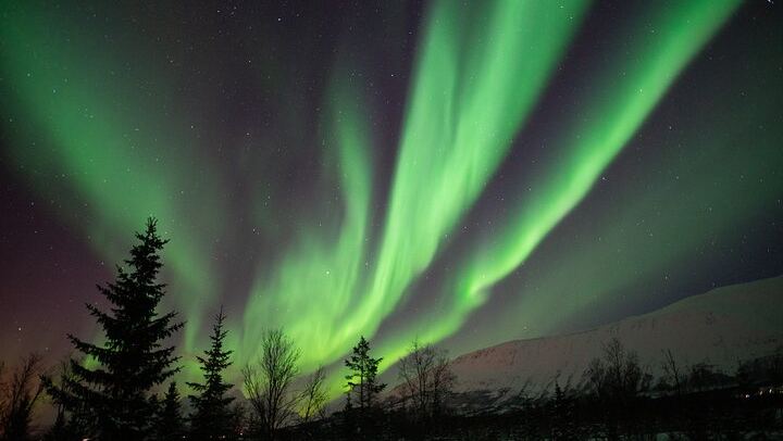 Aurora Safari by Coach with Private Heated Camps and Onboard Toilet (3/5)