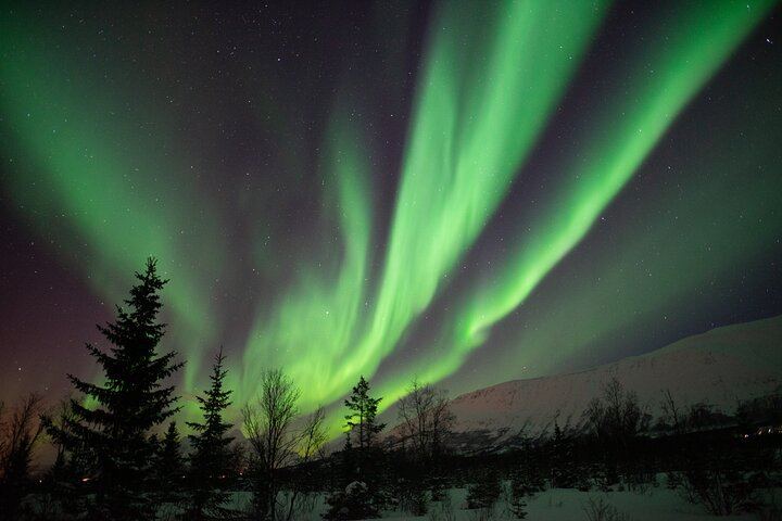 Aurora Safari by Coach with Private Heated Camps and Onboard Toilet (3/5)