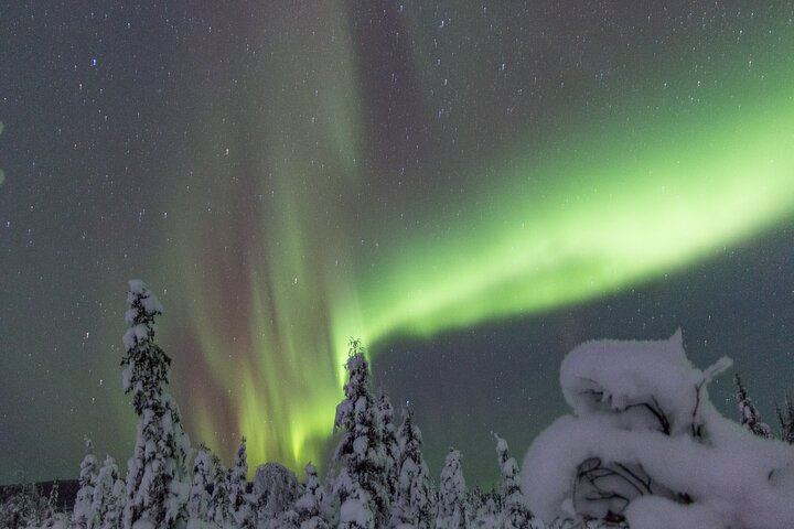 Aurora Sleighers Night Snowmobile Tour in Fairbanks (5/9)