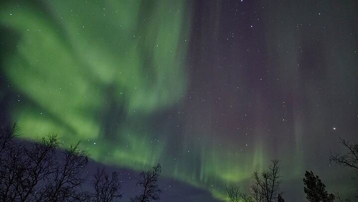 Abisko Aurora Tour from Kiruna with a Three Course Dinner (3/3)