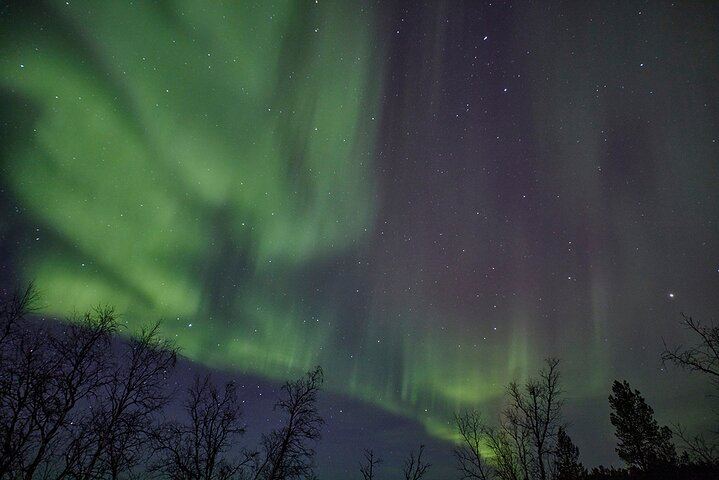 Abisko Aurora Tour from Kiruna with a Three Course Dinner (3/3)