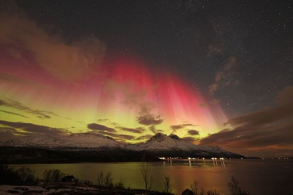 Tromso Aurora Tour with a Free Portrait, Bonfire and Marshmallows
