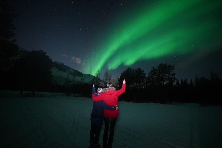 Tromso Aurora Tour with a Free Portrait, Bonfire and Marshmallows (9/12)