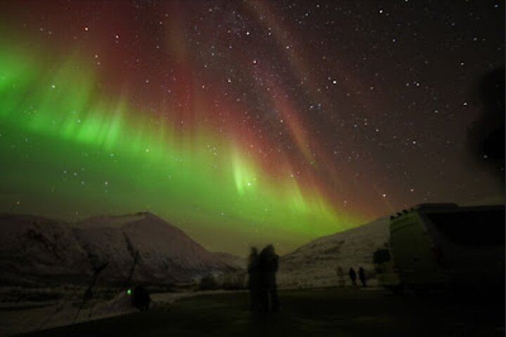 Tromso Aurora Tour with a Free Portrait, Bonfire and Marshmallows (12/12)
