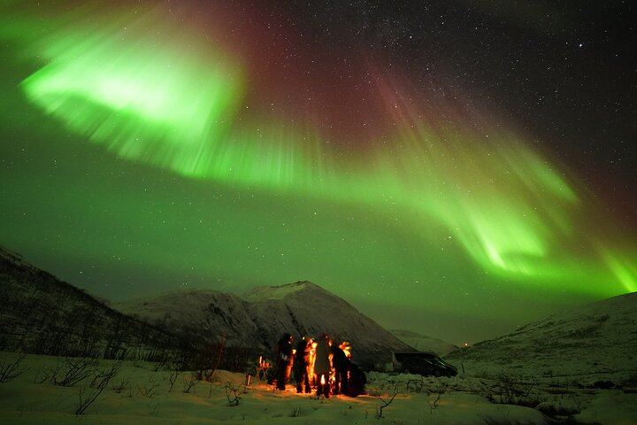 Tromso Aurora Tour with a Free Portrait, Bonfire and Marshmallows (7/12)