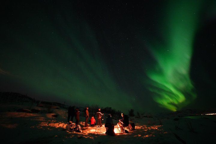Tromso Aurora Tour with a Free Portrait, Bonfire and Marshmallows (8/12)