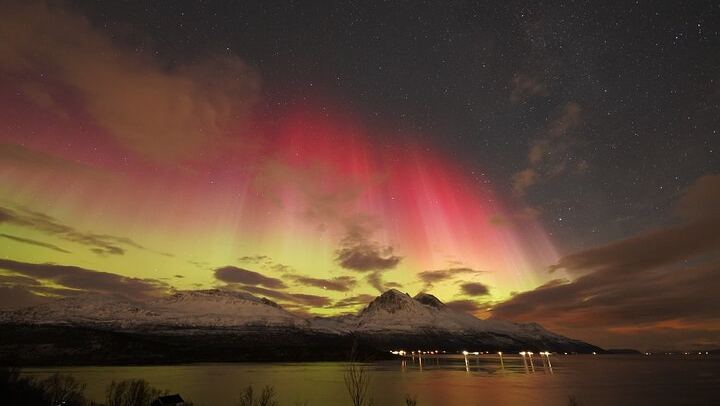 Tromso Aurora Tour with a Free Portrait, Bonfire and Marshmallows