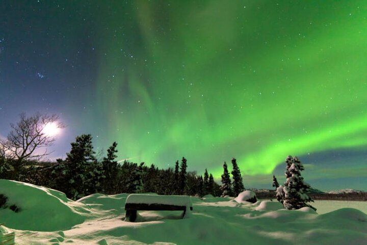 Aurora Viewing Lodge Tour near Fairbanks with a Local Guide (9/12)