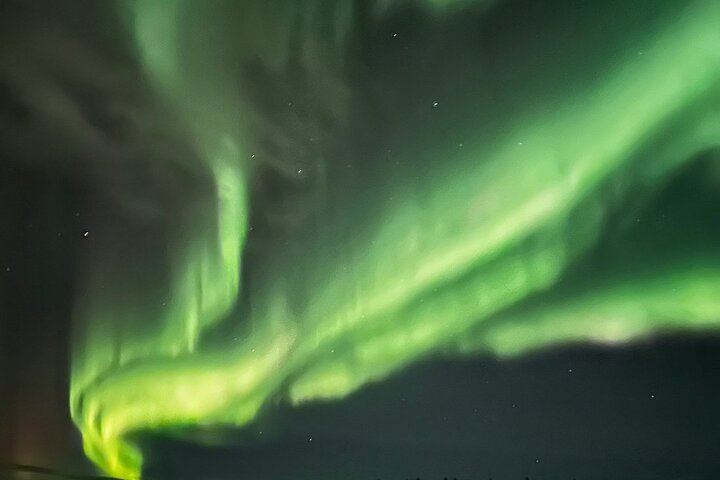 Aurora Viewing Lodge Tour near Fairbanks with a Local Guide (12/12)
