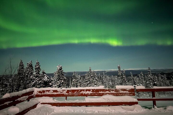 Aurora Viewing Lodge Tour near Fairbanks with a Local Guide (7/12)