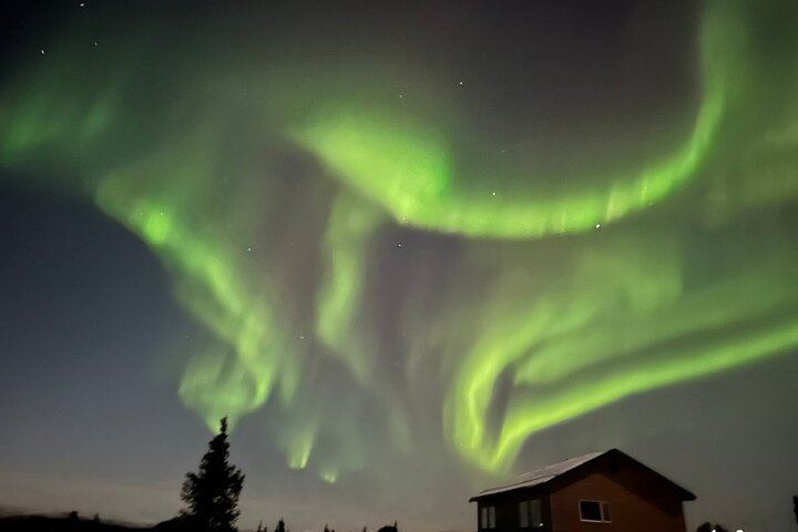 Aurora Viewing Lodge Tour near Fairbanks with a Local Guide (8/12)