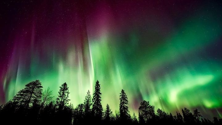Aurora Viewing Lodge Tour near Fairbanks with a Local Guide (2/12)