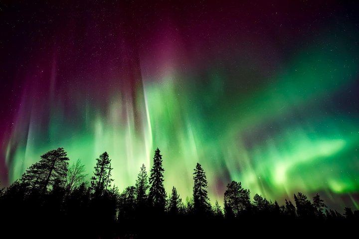 Aurora Viewing Lodge Tour near Fairbanks with a Local Guide (2/12)