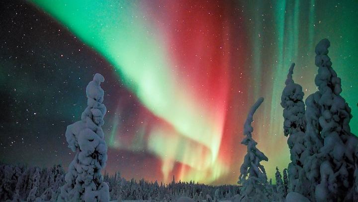 Aurores boréales dans un lodge isolé en pleine nature, près de Rovaniemi (4/10)
