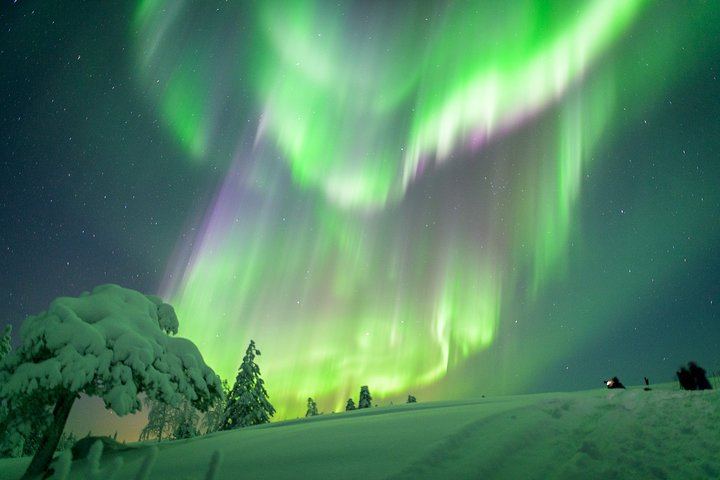 Night Snowmobile Safari from Saariselkä in Search of the Aurora (7/11)
