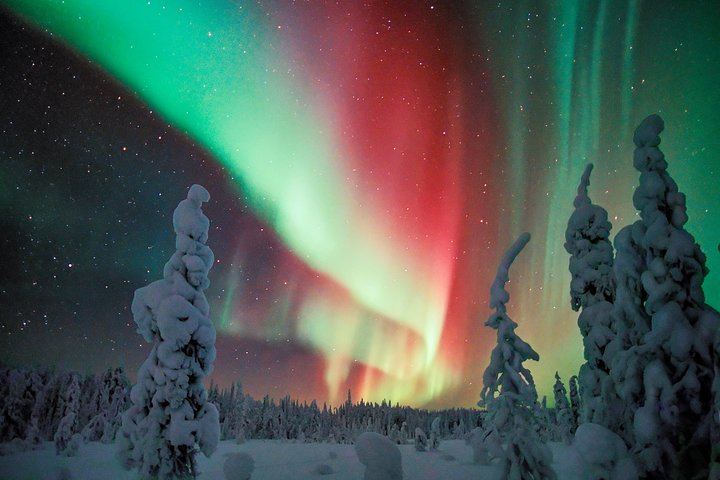 Aurores boréales dans un lodge isolé en pleine nature, près de Rovaniemi (4/10)