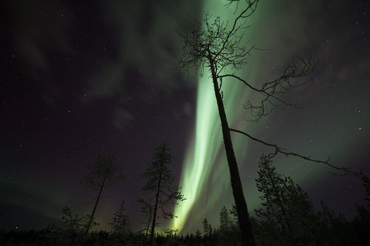 Autumn Aurora Picnic by Open Fire near Rovaniemi (5/6)